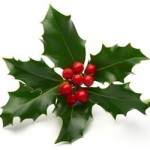 christmas-holly